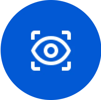 vision icon